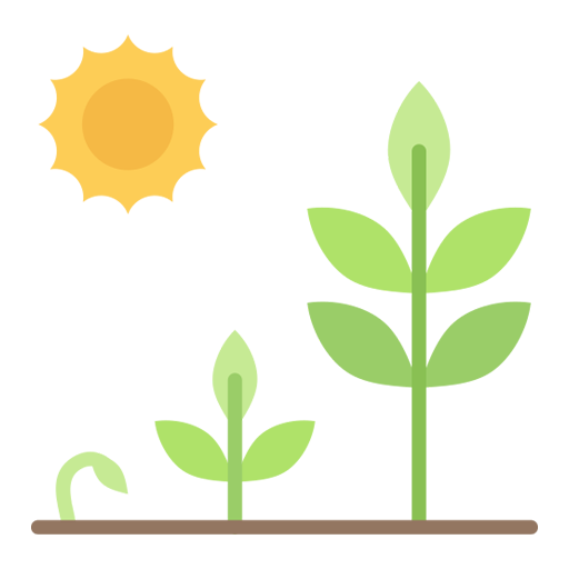 Sustainability Focus